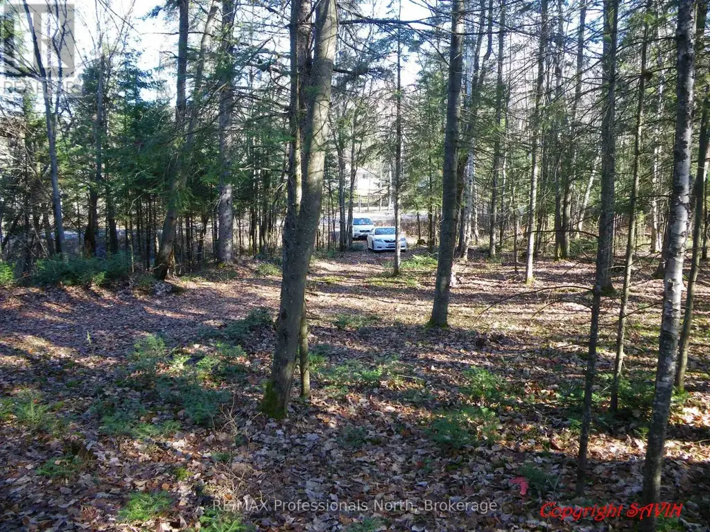 Pcl 20438 & 29803 Upper Walker Lake Road, Lake of Bays (Sinclair)
